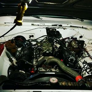 Meet your Posher, Bruce